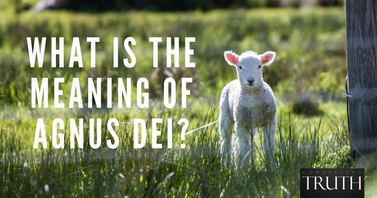 What Is The Meaning Of Agnus Dei 