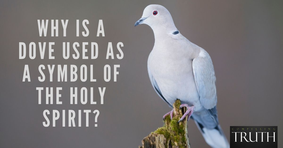 Why Is A Dove Used As A Symbol Of The Holy Spirit 