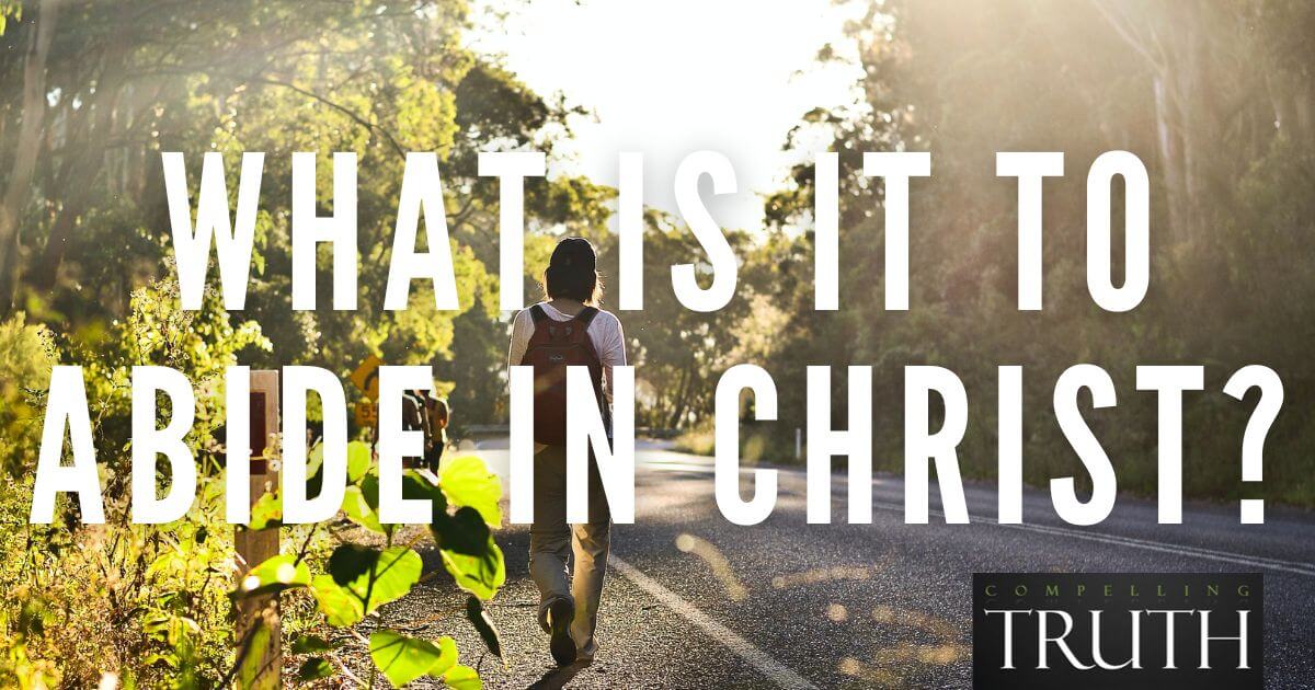 What Is It To Abide In Christ? What Does It Mean To Abide In Christ?