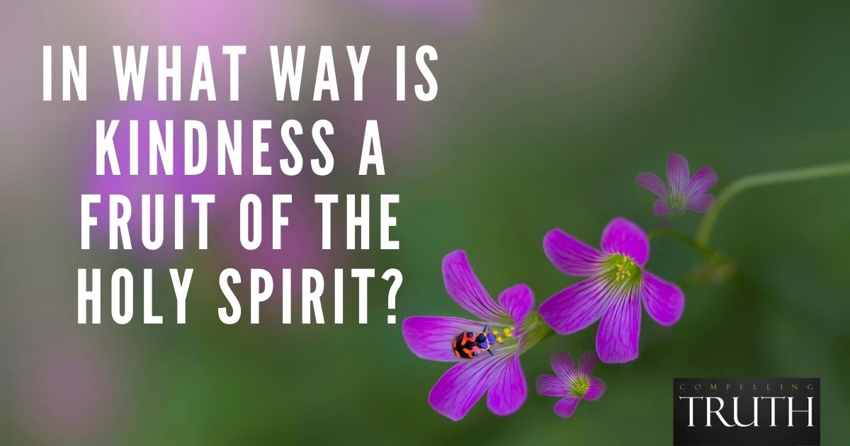 in-what-way-is-kindness-a-fruit-of-the-holy-spirit