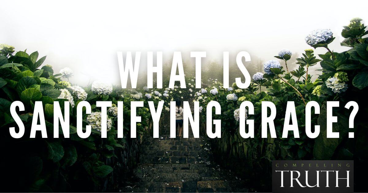 What Does Sanctifying Grace Mean In The Bible