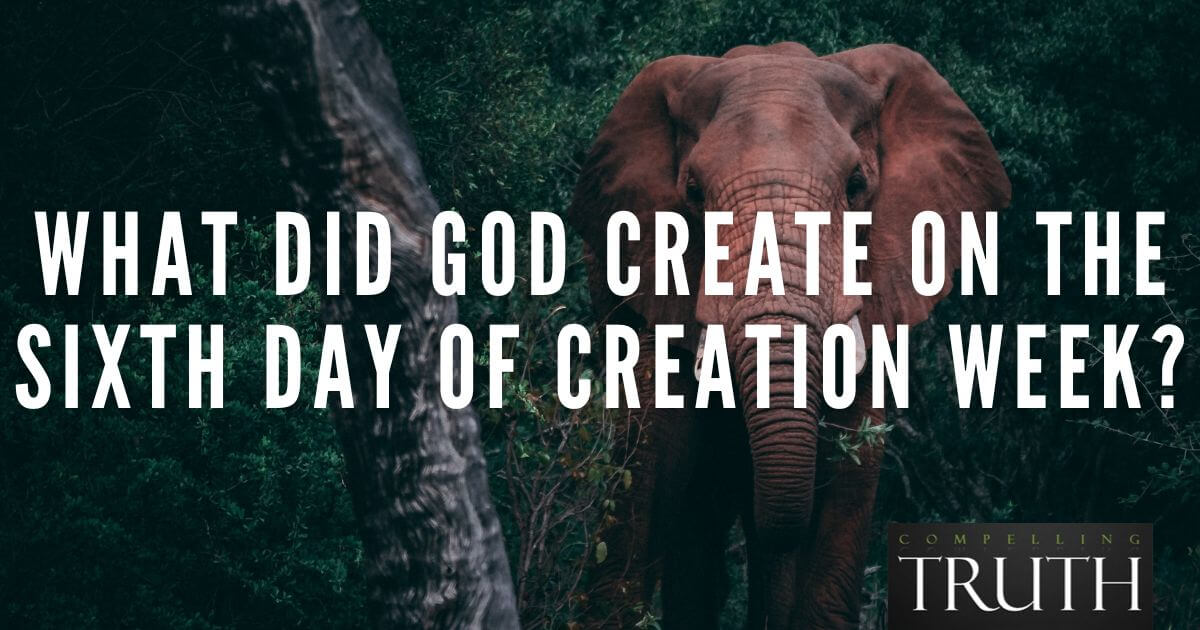 6th day of creation