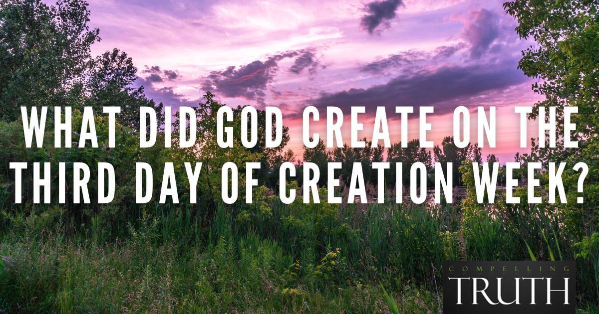 what-did-god-create-on-the-third-day-of-creation-week